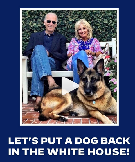 President-elect Joe Biden and his wife Dr. Jill Biden with one of their two German Shepherds.