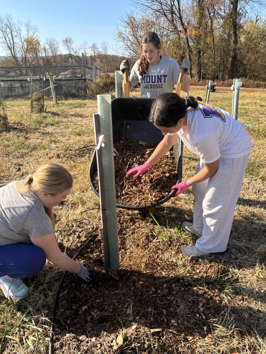 Katie Lamb ‘25, Caroline Squillaro ‘27, Kaitlyn Camuso ‘27 all helped one another add mulch to a growing tree. 