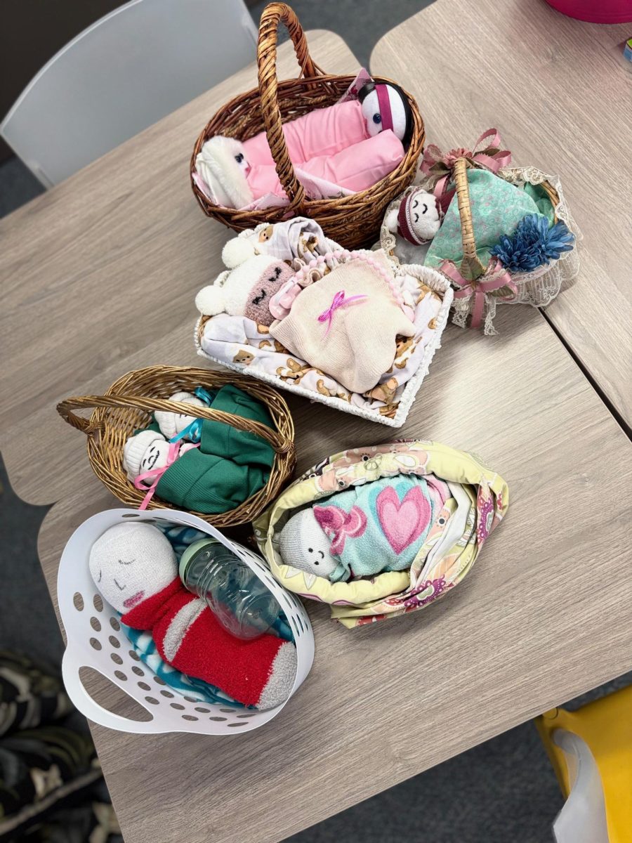 From Sock to Sense: AP Psychology and Parenting at the Mount