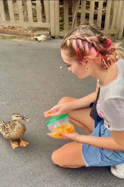 Anna feeding a duck