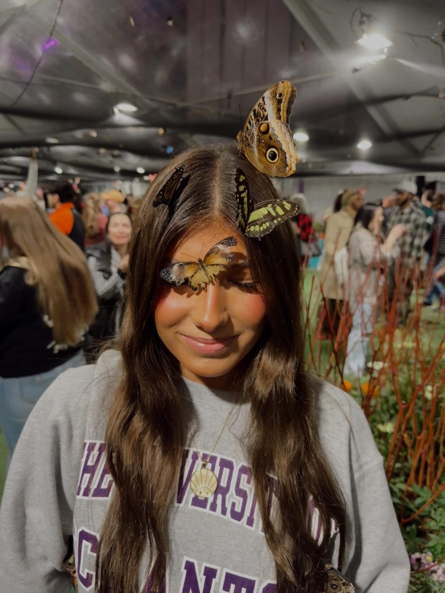 Butterflies on Mia’s head 